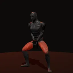 Agachamento sumô com halteres: posição 2 de 3 (boneco 3D masculino)