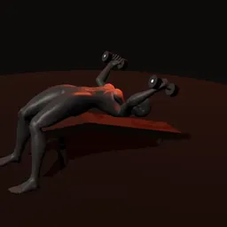 Crucifixo declinado com halteres: posição 2 de 3 (boneco 3D feminino)