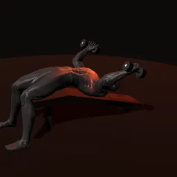 Crucifixo declinado com halteres: posição 2 de 3 (boneco 3D masculino)