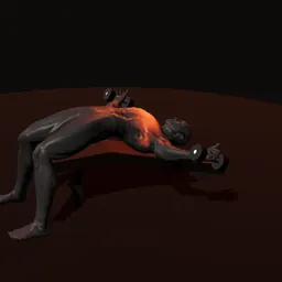 Crucifixo declinado com halteres: posição 3 de 3 (boneco 3D masculino)