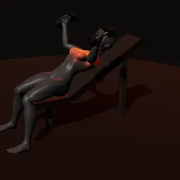 Crucifixo inclinado com halteres: posição 2 de 3 (boneco 3D feminino)