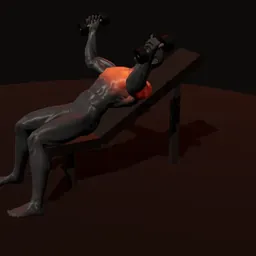 Crucifixo inclinado com halteres: posição 2 de 3 (boneco 3D masculino)