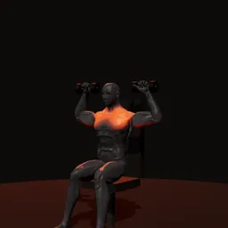 Desenvolvimento sentado com halteres: posição 2 de 3 (boneco 3D masculino)