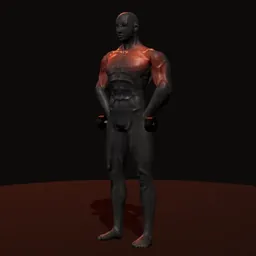 Elevação frontal com halteres: posição 1 de 3 (boneco 3D masculino)