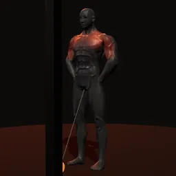 Elevação frontal na polia: posição 1 de 3 (boneco 3D masculino)