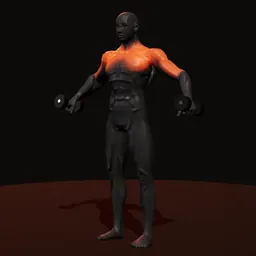 Elevação lateral lateral: posição 2 de 3 (boneco 3D masculino)