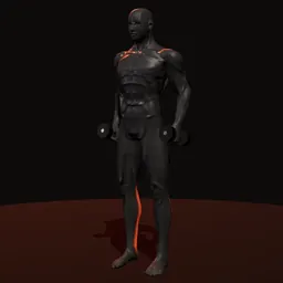 Elevação de panturrilha com halteres: posição 2 de 3 (boneco 3D masculino)