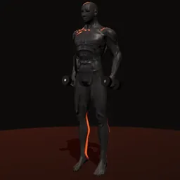 Elevação de panturrilha com halteres: posição 3 de 3 (boneco 3D masculino)