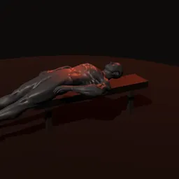 Elevação de pernas deitado reto no banco: posição 1 de 3 (boneco 3D masculino)