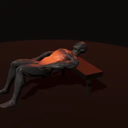 Elevação de quadril com joelhos flexionados: posição 2 de 3 (boneco 3D masculino)