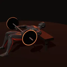 Elevação de quadril com barra: posição 2 de 3 (boneco 3D masculino)