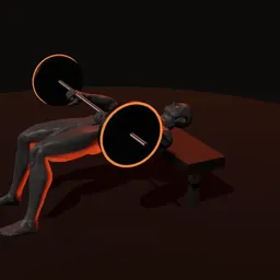 Elevação de quadril com barra: posição 3 de 3 (boneco 3D masculino)