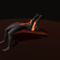 Extensão declinado de tríceps com halteres: posição 3 de 3 (boneco 3D feminino)