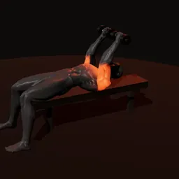 Extensão deitado de tríceps com halteres: posição 3 de 3 (boneco 3D masculino)
