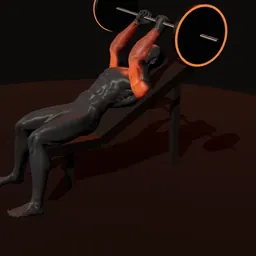 Extensão inclinado de tríceps com barra: posição 2 de 3 (boneco 3D masculino)