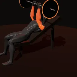 Extensão inclinado de tríceps com barra: posição 3 de 3 (boneco 3D masculino)