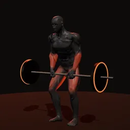 Levantamento terra do arranco: posição 2 de 3 (boneco 3D masculino)