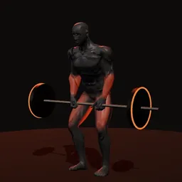 Levantamento terra do clean: posição 2 de 3 (boneco 3D masculino)