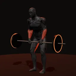 Levantamento terra em déficit romeno: posição 2 de 3 (boneco 3D masculino)