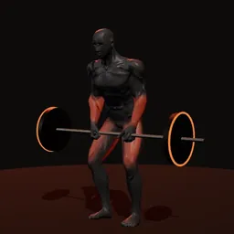Levantamento terra com elástico: posição 2 de 3 (boneco 3D masculino)