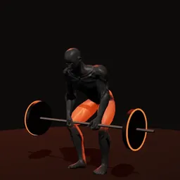 Levantamento terra invertido com elástico: posição 3 de 3 (boneco 3D masculino)