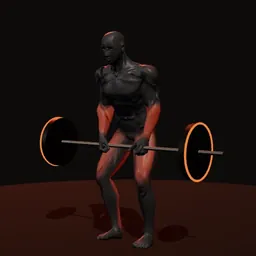 Levantamento terra com barra: posição 2 de 3 (boneco 3D masculino)