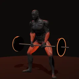 Levantamento terra sumô com correntes: posição 2 de 3 (boneco 3D masculino)