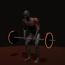 Remada curvado com barra: posição 1 de 3 (boneco 3D masculino)