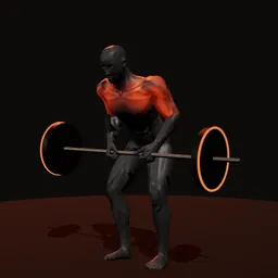 Remada curvado com barra: posição 2 de 3 (boneco 3D masculino)