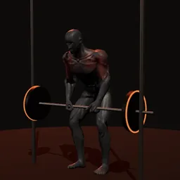 Remada curvado no Smith: posição 1 de 3 (boneco 3D masculino)
