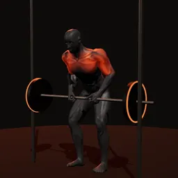Remada curvado no Smith: posição 2 de 3 (boneco 3D masculino)