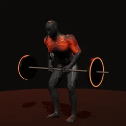 Remada Pendlay: posição 2 de 3 (boneco 3D masculino)
