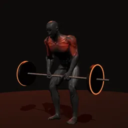 Remada posterior de deltoide com barra: posição 1 de 3 (boneco 3D masculino)