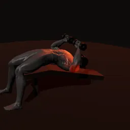 Supino declinado com halteres: posição 2 de 3 (boneco 3D masculino)