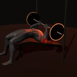 Supino declinado no Smith: posição 2 de 3 (boneco 3D masculino)