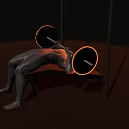 Supino declinado no Smith: posição 3 de 3 (boneco 3D masculino)