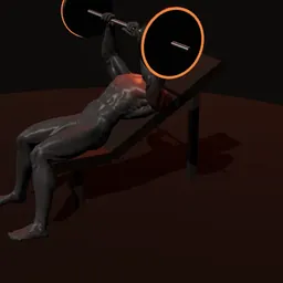 Supino inclinado no banco: posição 1 de 3 (boneco 3D masculino)