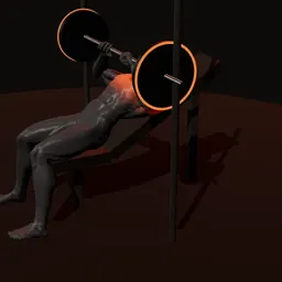 Supino inclinado no banco no Smith: posição 2 de 3 (boneco 3D masculino)
