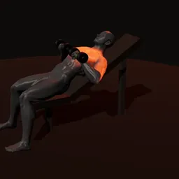 Supino inclinado com halteres: posição 3 de 3 (boneco 3D masculino)