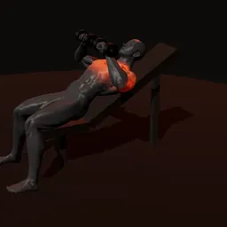 Supino inclinado com halteres, pegada neutra: posição 2 de 3 (boneco 3D masculino)
