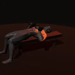 Supino com halteres: posição 3 de 3 (boneco 3D masculino)