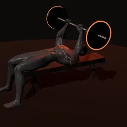 Supino pegada aberta com barra: posição 1 de 3 (boneco 3D masculino)
