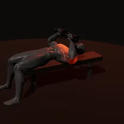 Supino pegada neutra com halteres: posição 2 de 3 (boneco 3D masculino)