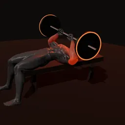 Supino (powerlifting): posição 2 de 3 (boneco 3D masculino)