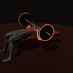 Supino (powerlifting): posição 3 de 3 (boneco 3D masculino)
