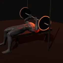 Supino no Smith: posição 2 de 3 (boneco 3D masculino)