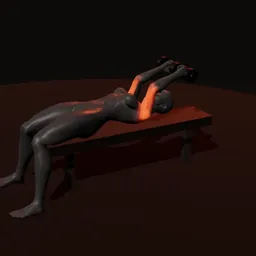 Tríceps testa com dois halteres: posição 2 de 3 (boneco 3D feminino)