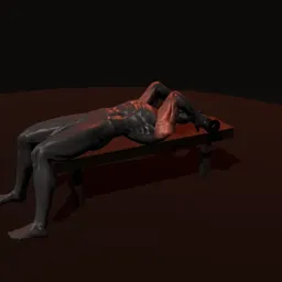 Tríceps testa com dois halteres: posição 1 de 3 (boneco 3D masculino)