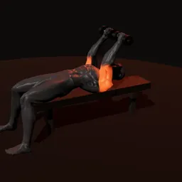 Tríceps testa com dois halteres: posição 3 de 3 (boneco 3D masculino)