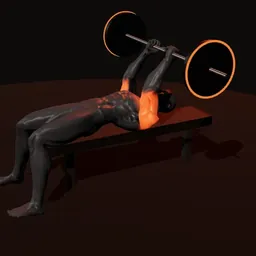 Tríceps testa: posição 3 de 3 (boneco 3D masculino)